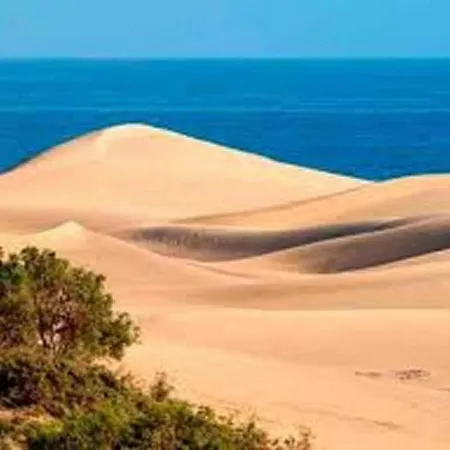 شاليه Modern In Maspalomas San Bartolomé