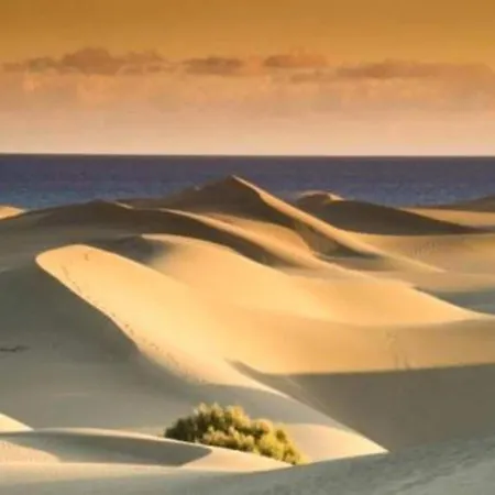 Modern In Maspalomas شاليه
